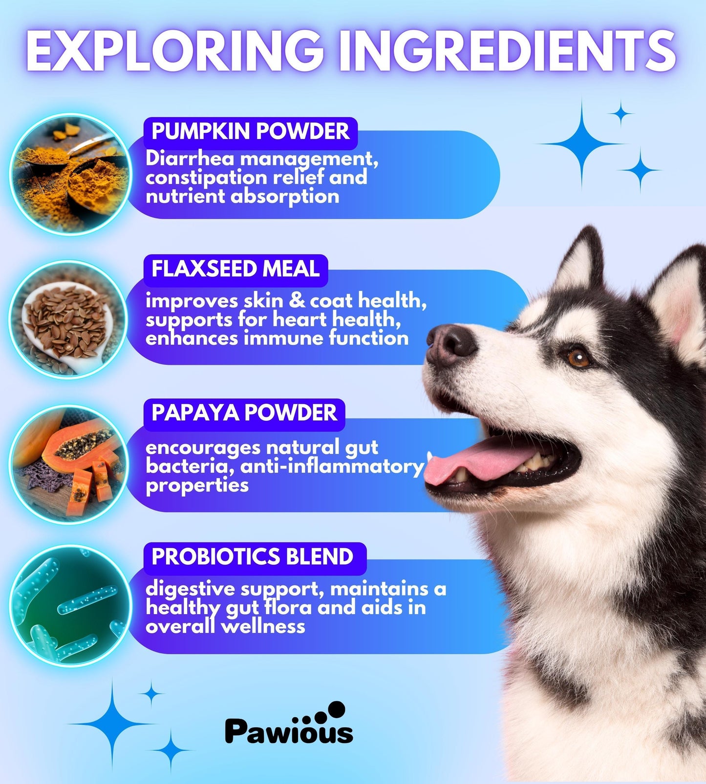 Probiotics for Dogs Digestive Enzymes Gut Flora Digestive Health
