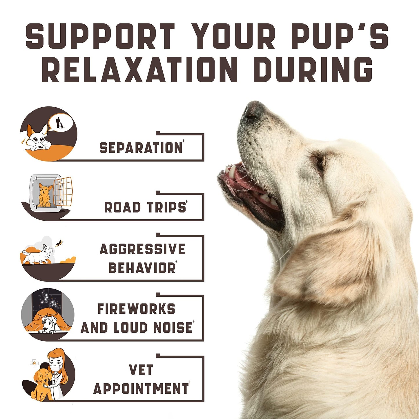 Kinpur Pet Care Calming Chews for Dogs with Hemp Oil Aid During