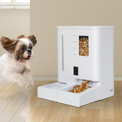 Pawz 2-in-1 Automatic Pet Cat Dog Feeder Water Set-1954802478805553158