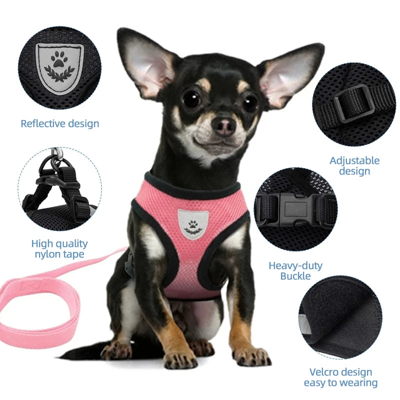 Cat Harness Leash Set for Small Dogs Adjustable Puppy Cat Harness Vest