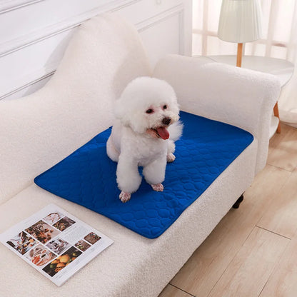 Reusable Pet Training Pad – 4-Layer Ultra Absorbent, Washable & Non-Slip