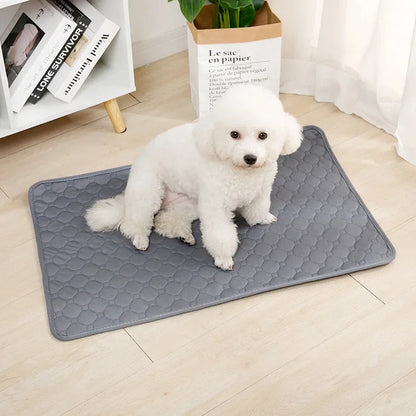 Reusable Pet Training Pad – 4-Layer Ultra Absorbent, Washable & Non-Slip