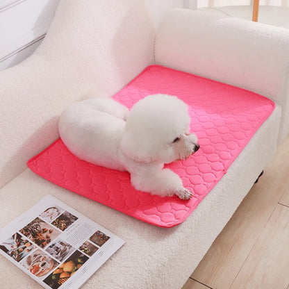 Reusable Pet Training Pad – 4-Layer Ultra Absorbent, Washable & Non-Slip