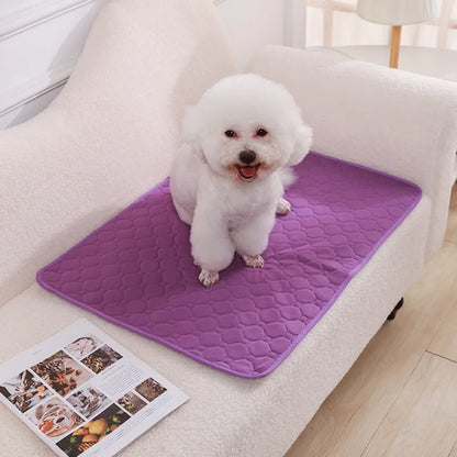 Reusable Pet Training Pad – 4-Layer Ultra Absorbent, Washable & Non-Slip