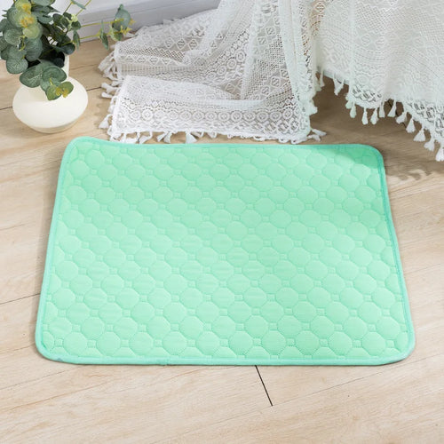 Reusable Pet Training Pad – 4-Layer Ultra Absorbent, Washable & Non-Slip